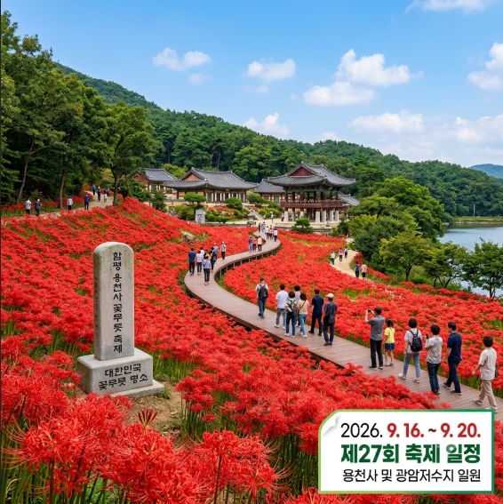 함평 용천사 꽃무릇 축제