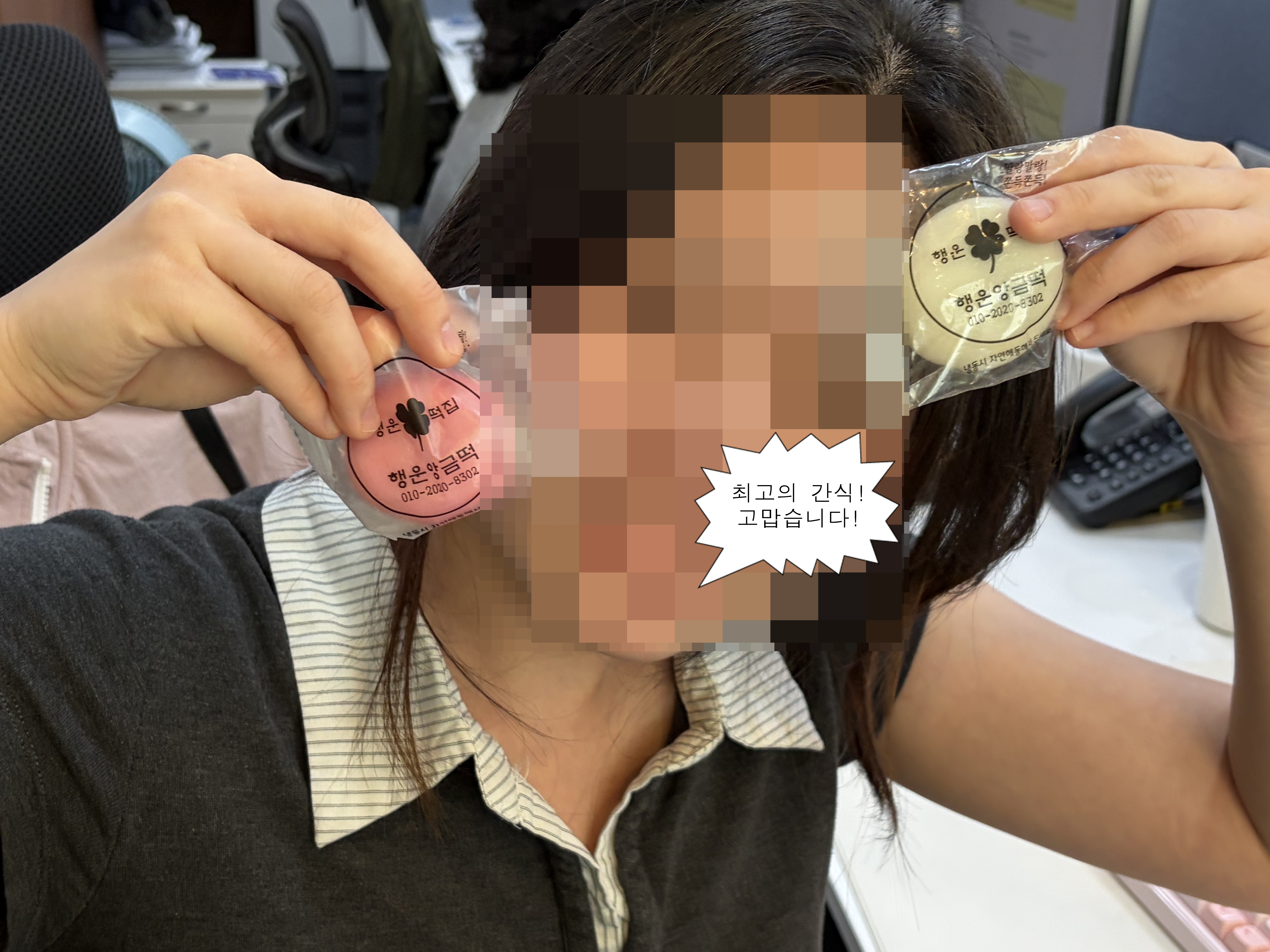 모시잎 송편 시식 모습