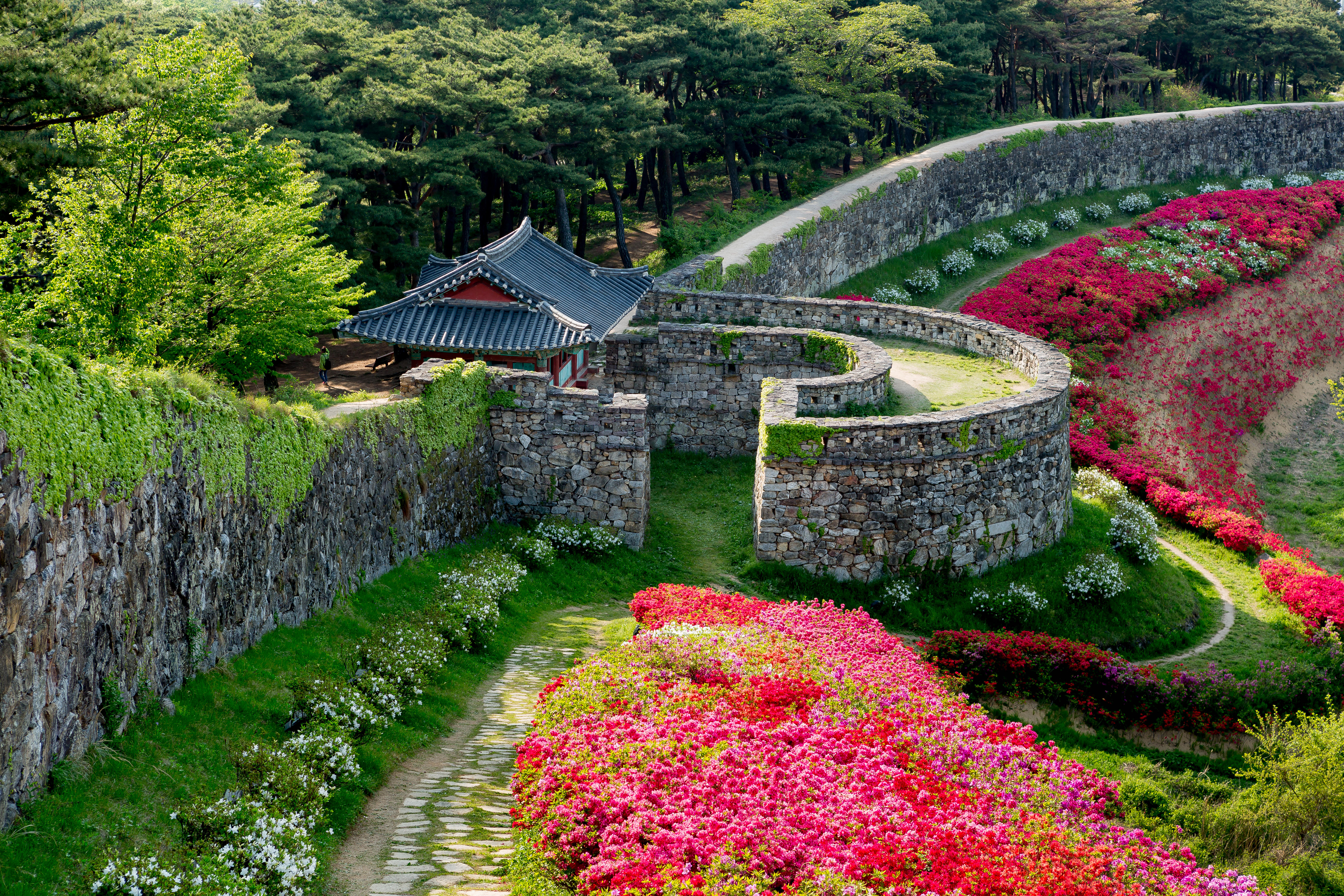 고창 명소 이미지
