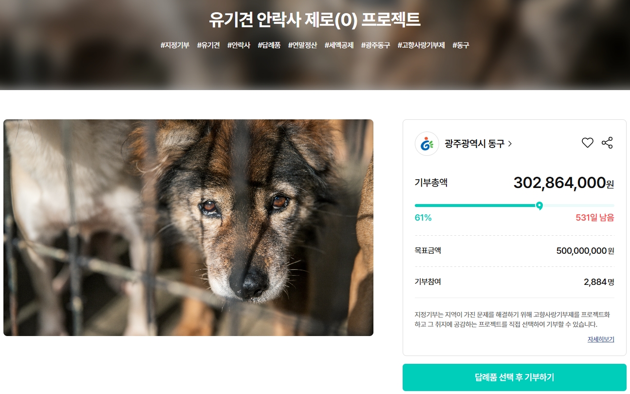 광주 동구 고향사랑 지정기부제 유기 동물 구조 보호 프로젝트