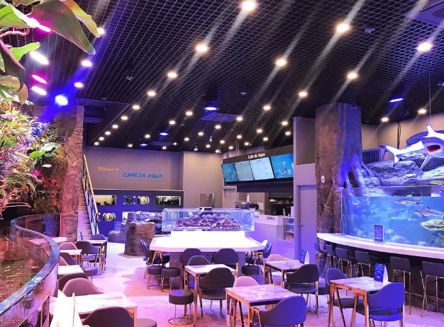 스타필드 안성, 카페드아쿠아