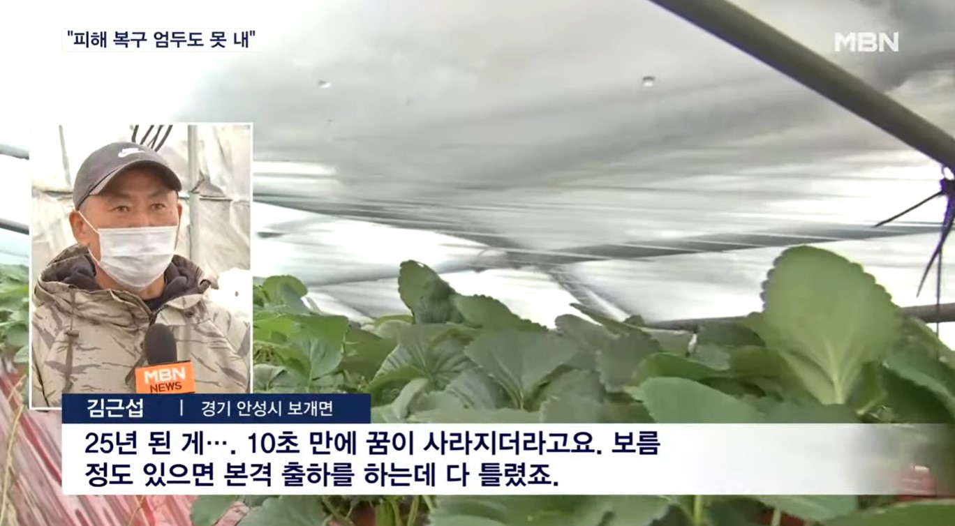 안성시 자연재해