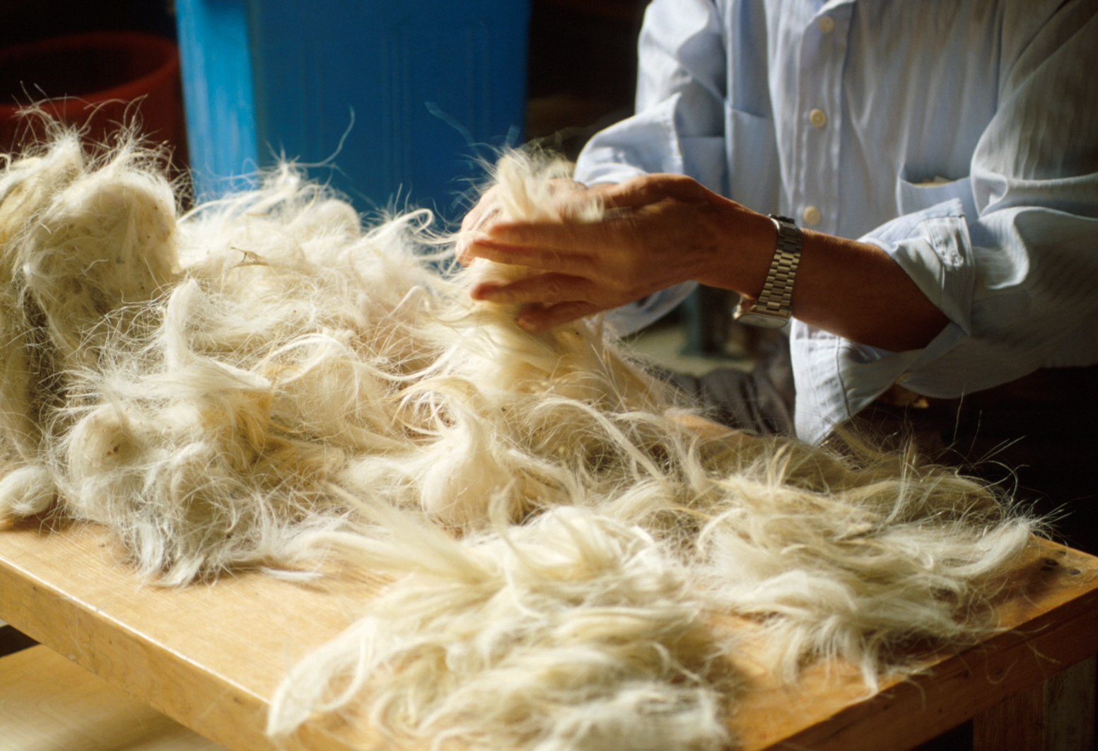 잔다리붓_털고르기