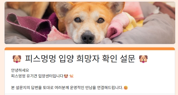 피스멍멍 유기견 입양 희망자 설문