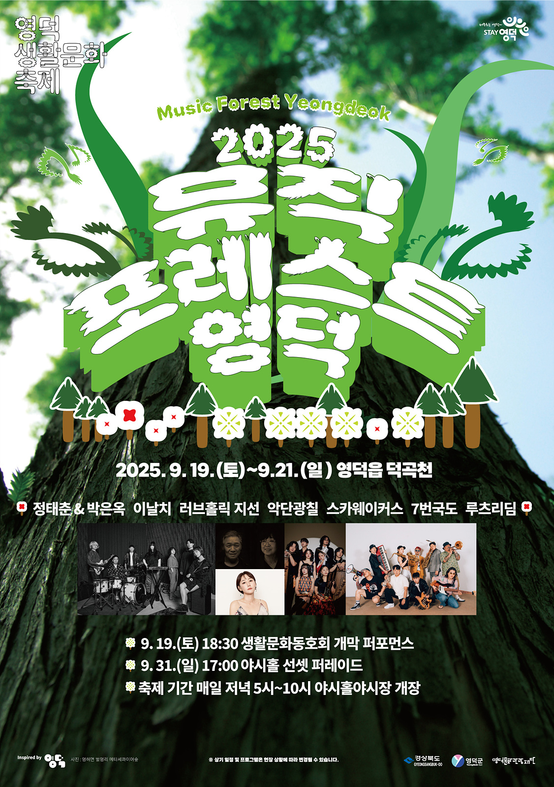 뮤직 포레스트 영덕