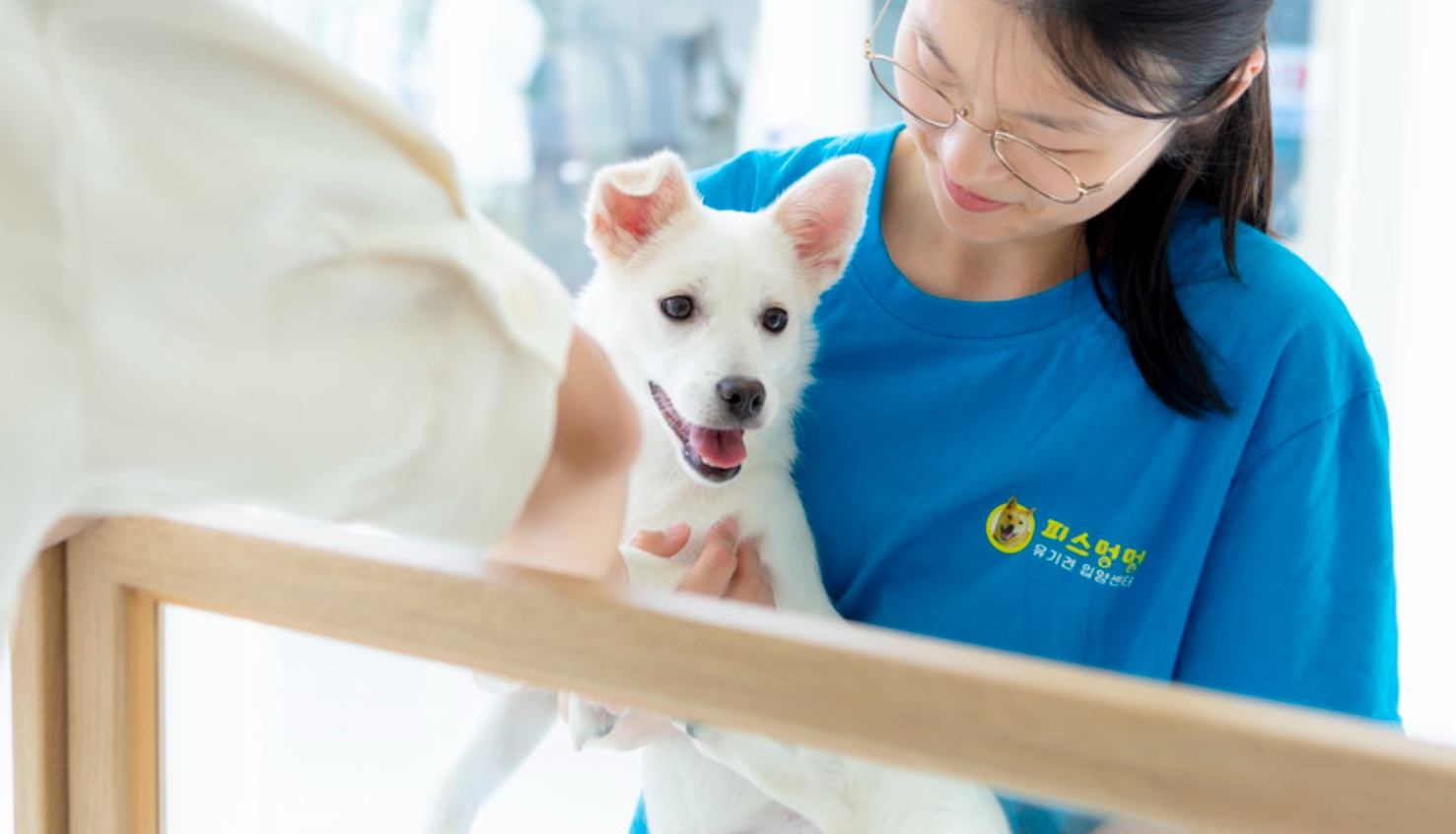 피스멍멍 광주 유기견 보호소 봉사활동