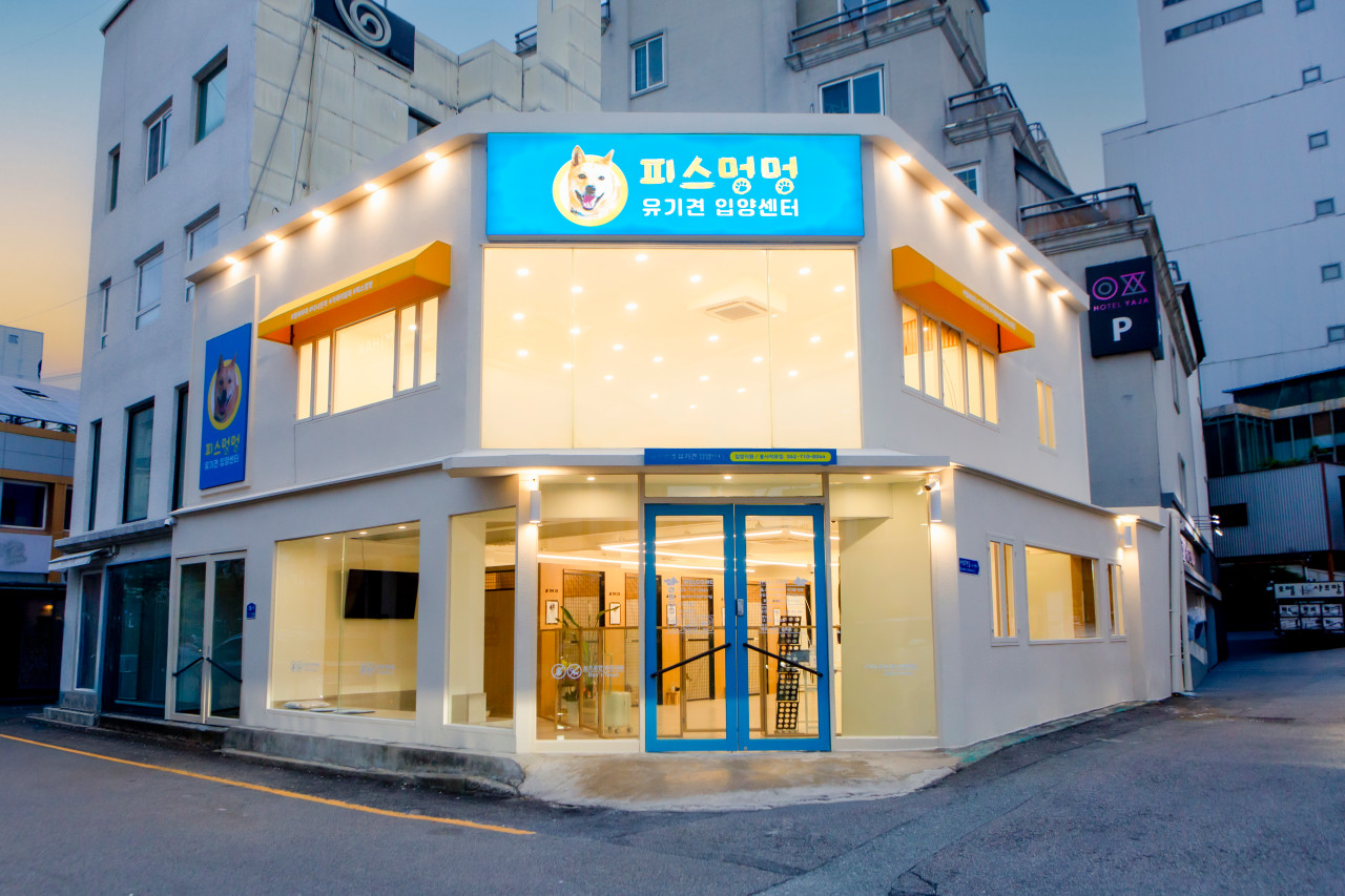 피스멍멍 유기견 입양 센터 전경