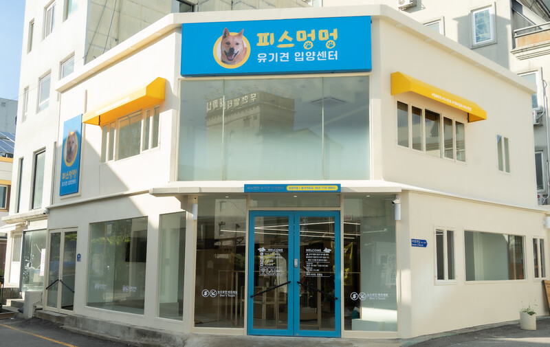 유기견 입양 센터 피스멍멍