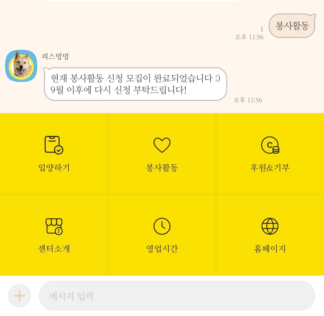 광주 동구 유기견 보호소 봉사활동 피스멍멍