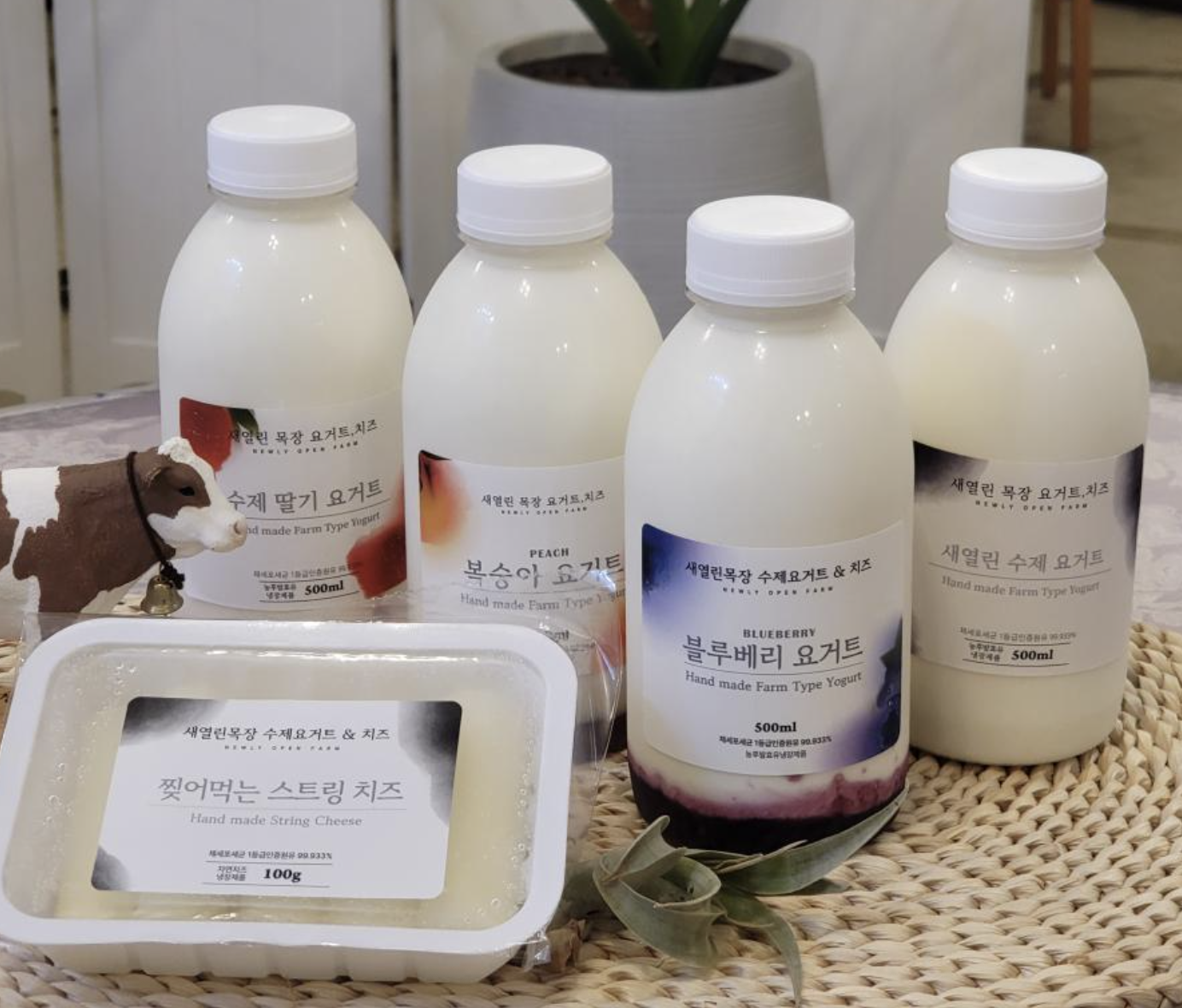홈메이드 요거트, 안성 요거트, 요거트 추천