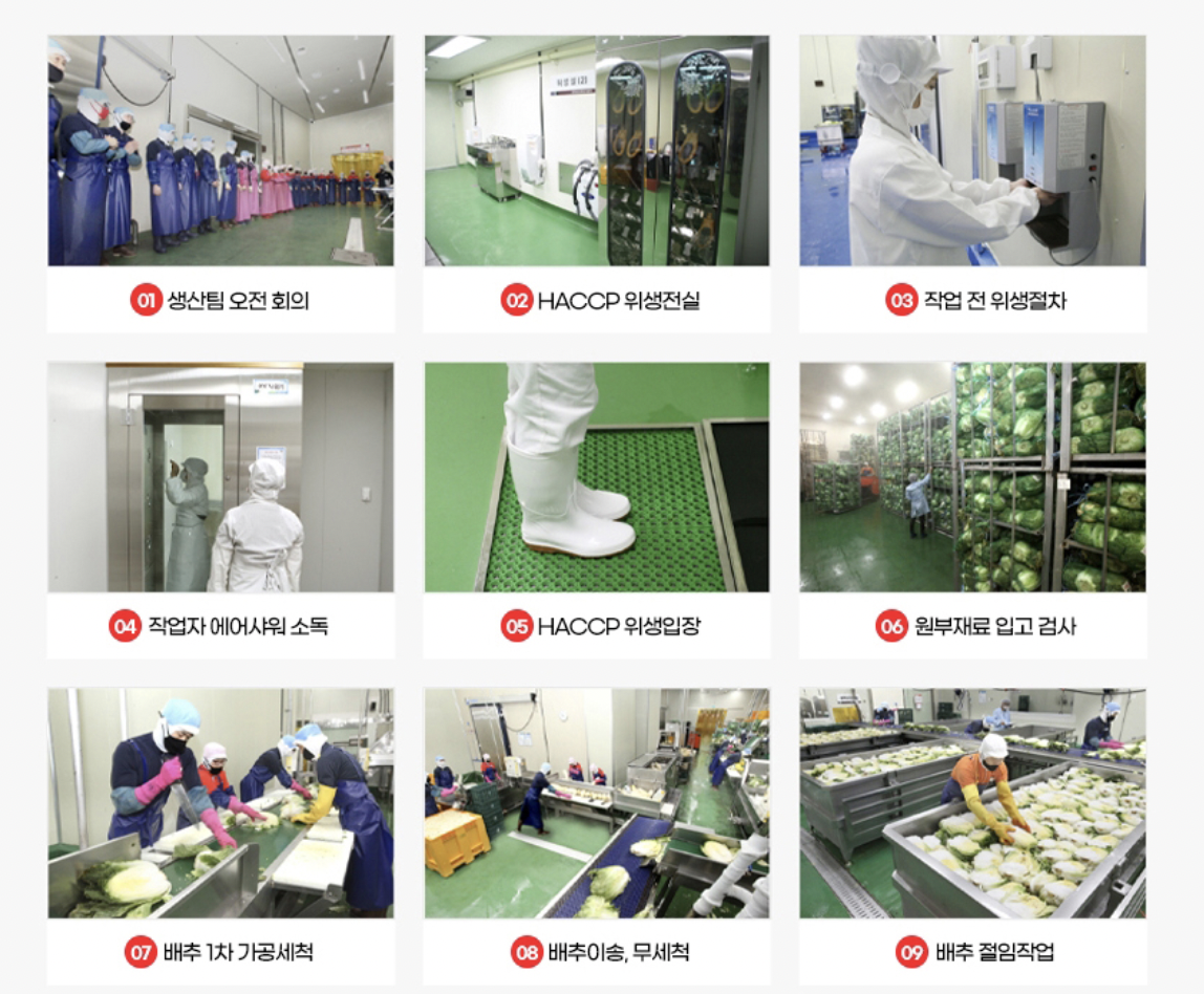김치 생산 공정 