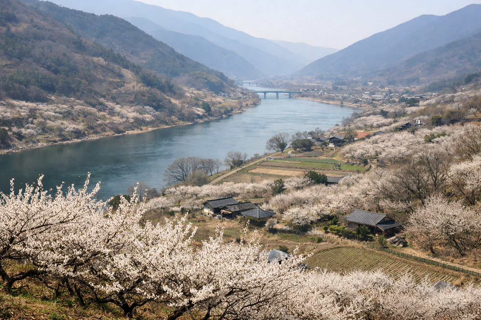 하동 섬진강 매화 여행