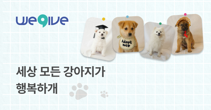 [국제 강아지의 날] 네이버페이 15,000P 증정 이벤트