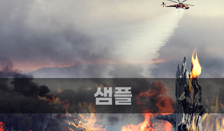 [샘플] 산불로 피해 입은 ○○을 도와주세요!