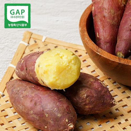 포근한 영암 GAP 황토 꿀고구마 상5kg