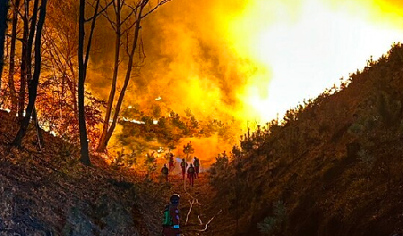 23년 04월 산불피해 재난지역 강릉시를 도와주세요