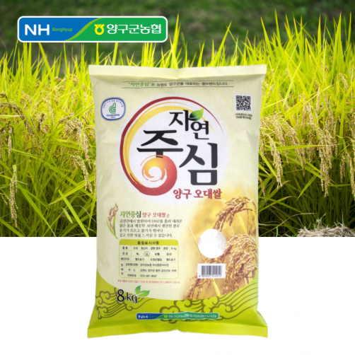 양구군농협 자연중심 양구오대쌀 8kg
