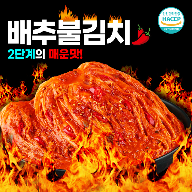 전라도 금치 불김치 매운김치 1.6kg