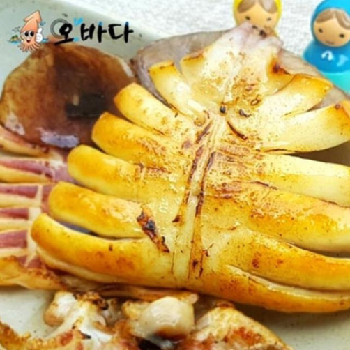 경북 영덕 반건조오징어 6마리
