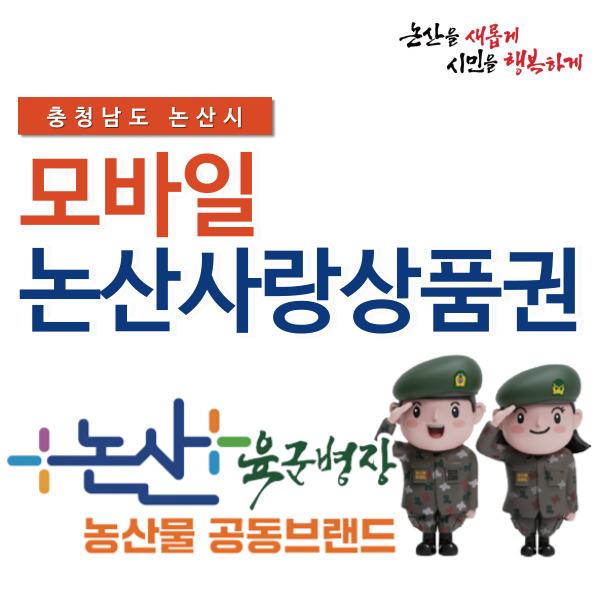  논산사랑상품권 모바일 3만원(1만원권*3매) 