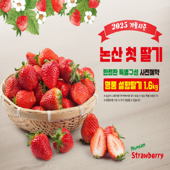 [사전예약]  25년 논산 첫 딸기 '설향' 1.6kg(0.8kg*2개)