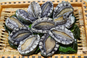 자연산 전복 특대 1kg