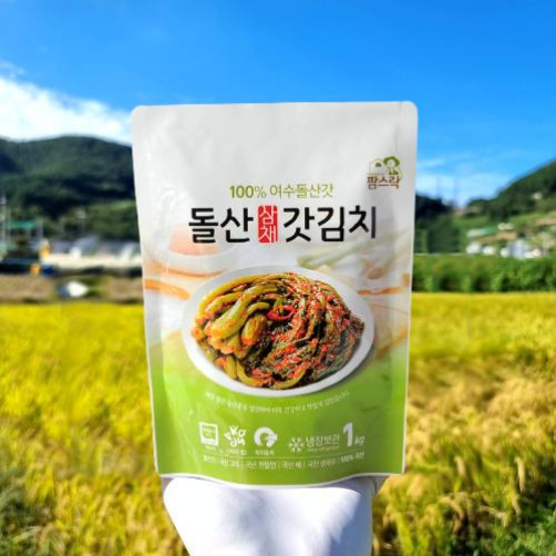 전남 여수 돌산삼채갓김치 3kg