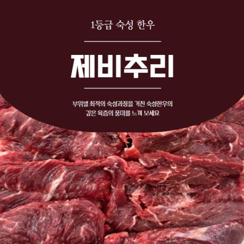 롯데백화점 입점 남도정한우 1등급 제비추리 500g