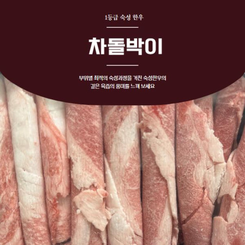 롯데백화점 입점 남도정한우 1등급 차돌박이 750g(250g*3팩)