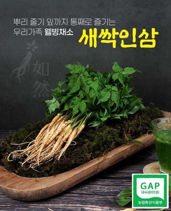 여연새싹인삼 2년근 90뿌리