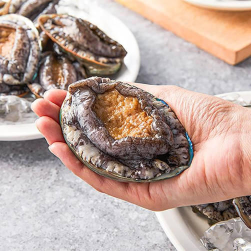 명품 기삼전복 12-13마리 1kg + 손질칼 + 선물포장 / 수산물