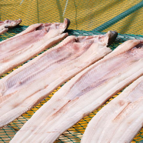 반건조 바다장어(붕장어) 1kg