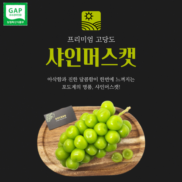 거창 고당도 프리미엄 샤인머스캣 2.7kg(3~4송이)