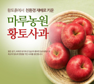 친환경 황토사과 간식용 3kg 10~13과+1과