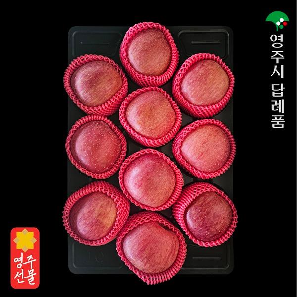 영주사과 3.5kg 선물세트(10입 내)