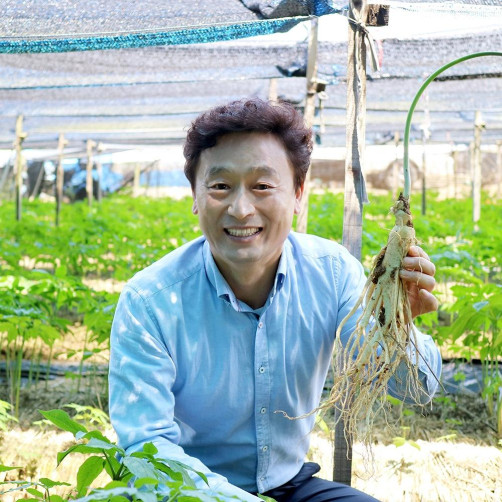 5년근 세척 수삼 500g(12~13뿌리)