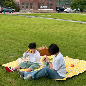 패밀리 피크닉매트 돗자리(옐로우, 레드, 브라운, 블루)