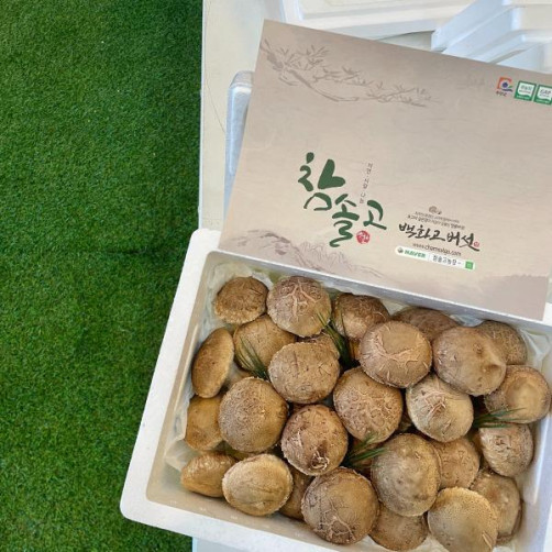 백화고 생표고버섯 1.3kg