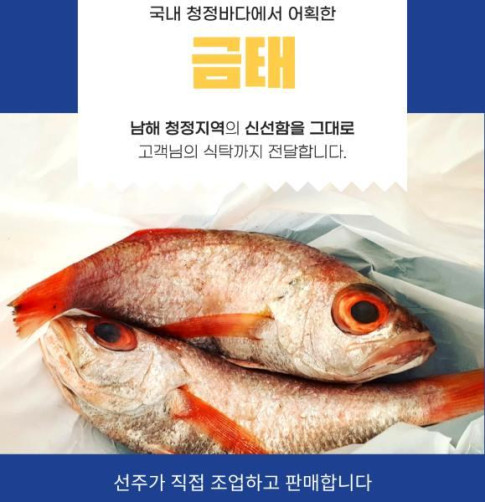 남해 청정 바다 금태 3미(700g)