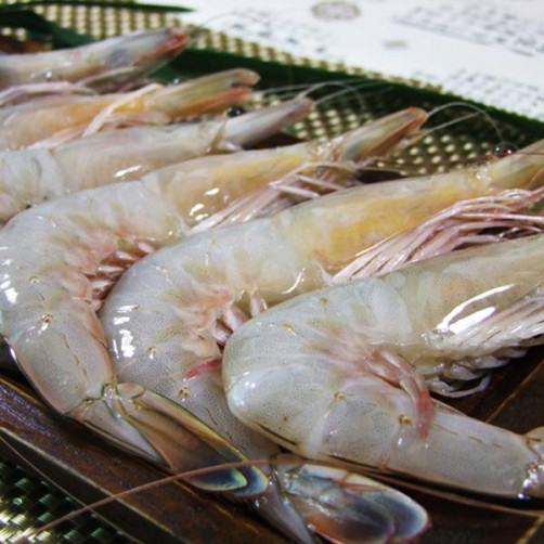 자연산 급냉 대하 1kg(15미 내외)