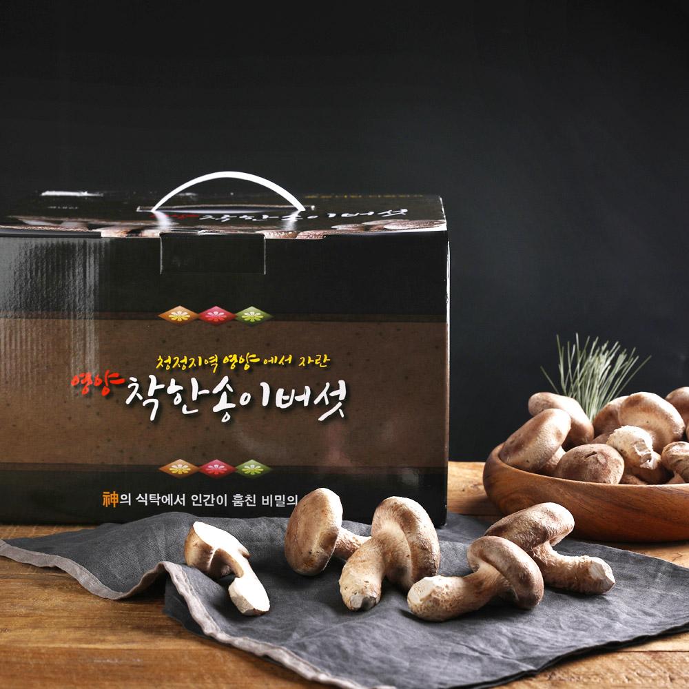 [경북산불피해] 무농약 개량 송이버섯 1kg