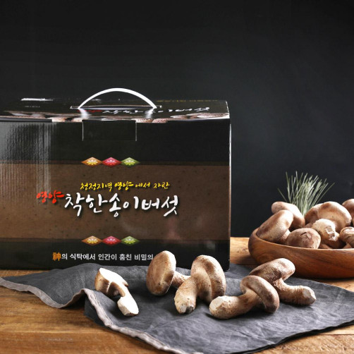 [경북산불피해] 무농약 개량 송이버섯 1kg