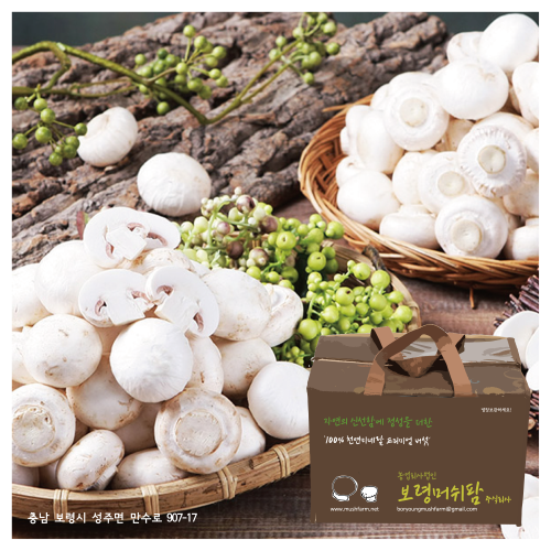 보령 양송이버섯 선물세트 2kg(흰색, 갈색)