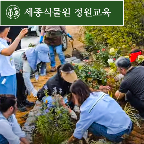 세종식물원 정원교육가드닝 세미나 1회 수강권