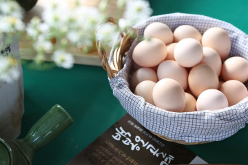 1급수 다슬기 먹인 무항생제 백봉오골계란 40구(유정란,초란)