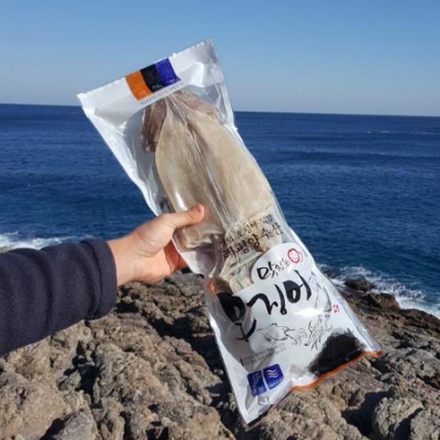경북 영덕 부드러운 마른오징어 400g(5마리)