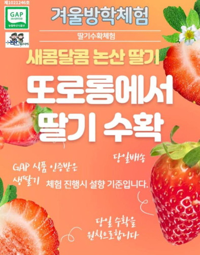 또로롱 딸기 수확체험 2인권(500g*2인)