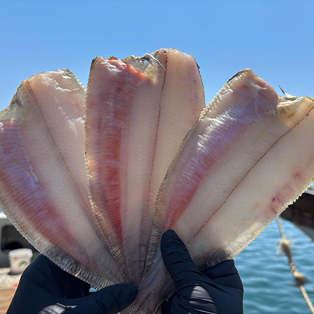 울산 반건조 방어진 미주구리 기름가자미 중사이즈 12미