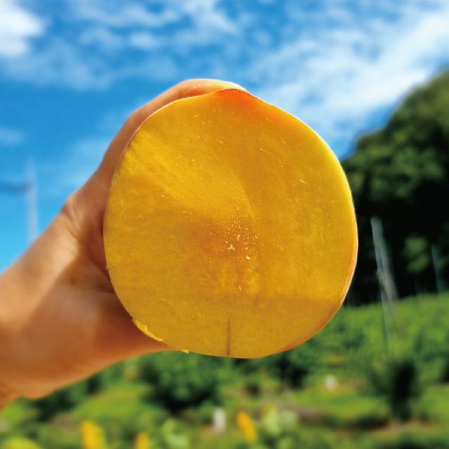 영덕군 더파머스 황도 복숭아 2.5kg 8-10과 대과 (8월10일 전 ·후 순차발송)