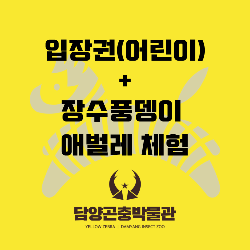 옐로우지브라 담양곤충박물관 입장권+체험권